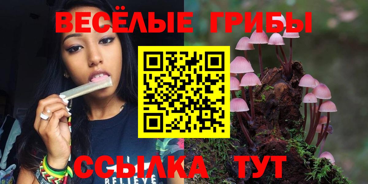 Псилоцибиновые грибы Psilocybine cubensis  Галлюциногенные грибы ЛСД  Нягань  Вход с VPN 